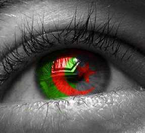 A vous les algeriens 